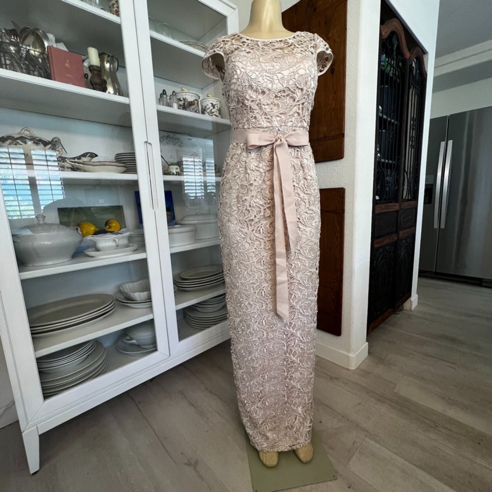 ADRIANNA PAPELL EVENING GOWN
